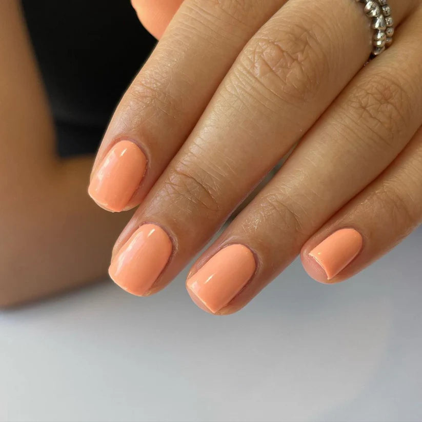 Sweet Apricot #619 DND
