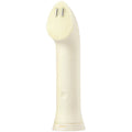AGE-R BOOSTER CLEANSER HEAD