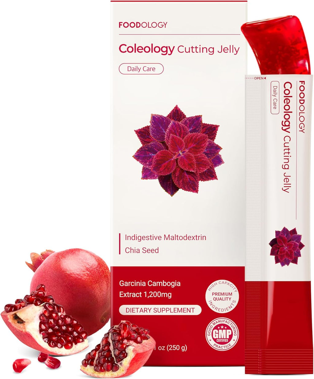 COLEOLOGY CUTTING JELLY