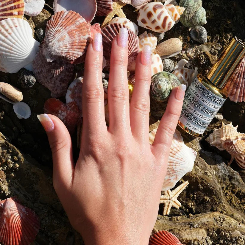 Mermaid Sea Shell #240 DC