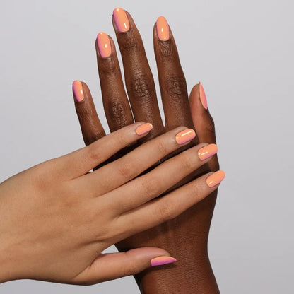 TANGY APRICOT #168 DIVA