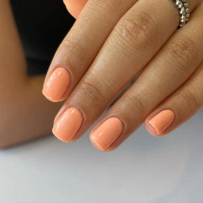 Sweet Apricot #619 DND