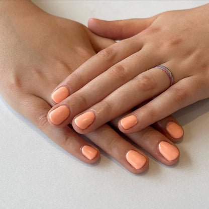 Sweet Apricot #619 DND