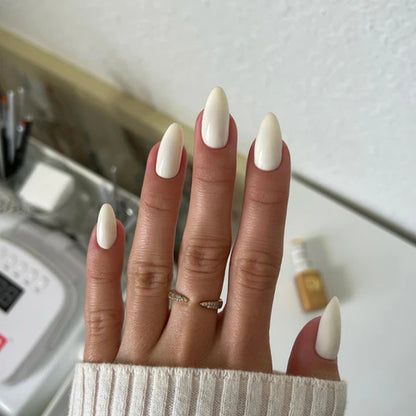 CHEESECAKE #073 DIVA