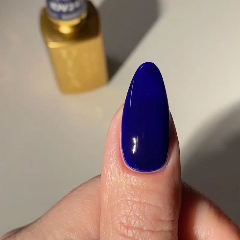 Jelly Marine #247 DIVA