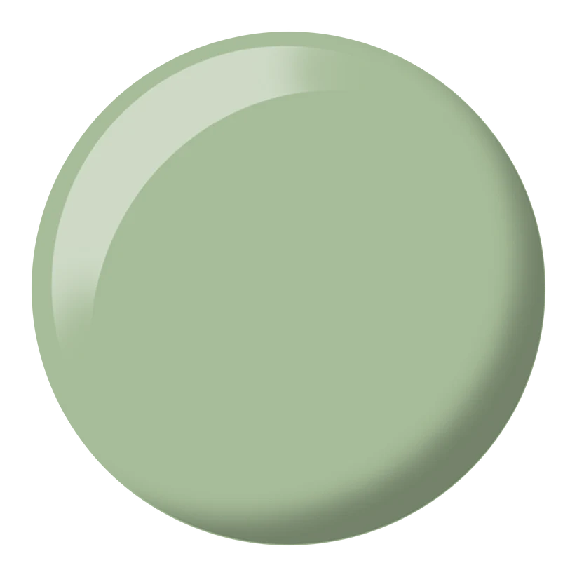 Foggy Fern #277 DIVA