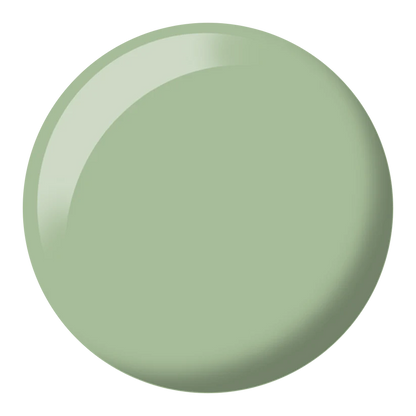 Foggy Fern #277 DIVA