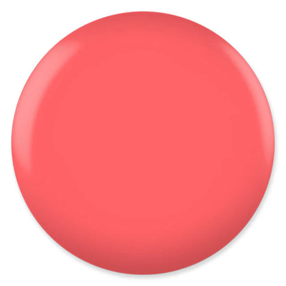 Terr Pink #037 DC