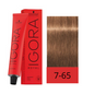 IGORA ROYAL TINTE 60ML