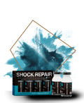 SHOCK REPAIR