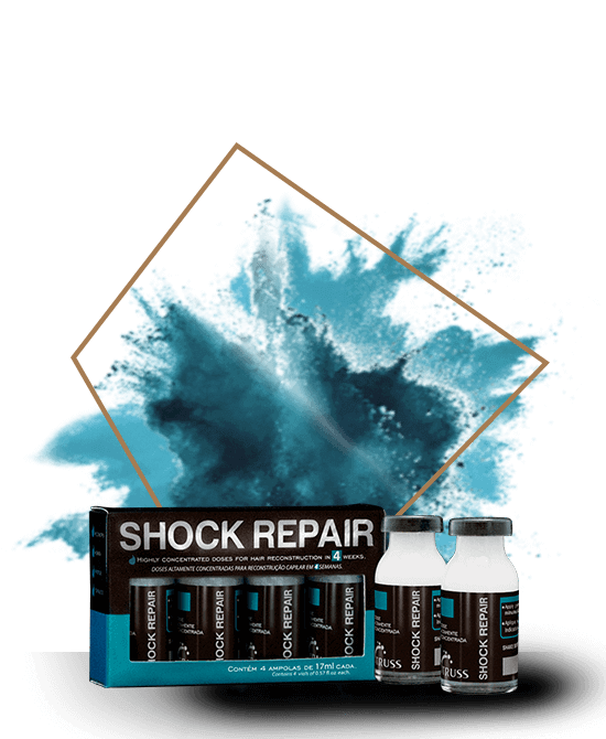 SHOCK REPAIR