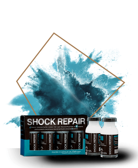 SHOCK REPAIR