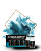 SHOCK REPAIR