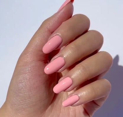 Sugar Crush #725 DND